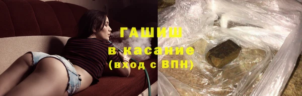 сатива Алзамай