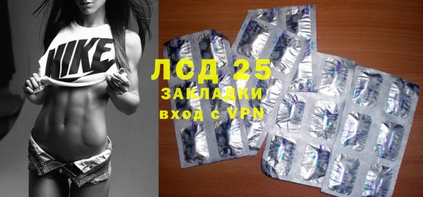 сатива Алзамай