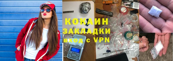 сатива Алзамай