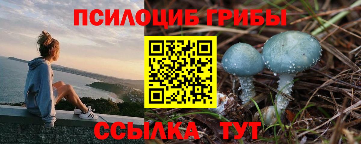 Люберцы  Псилоцибиновые грибы GOLDEN TEACHER  Вход с VPN 