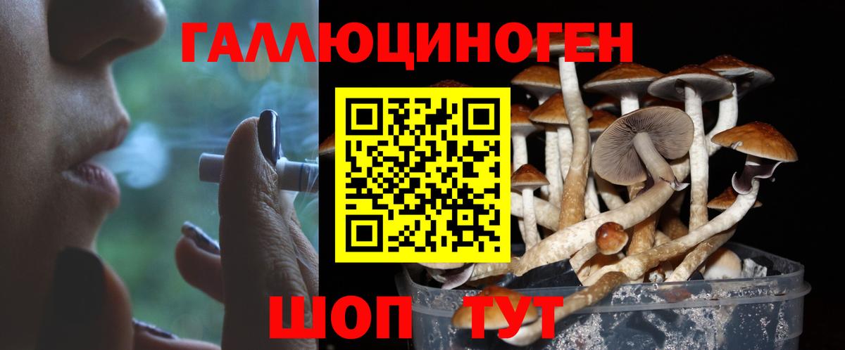 Псилоцибиновые грибы ЛСД Люберцы